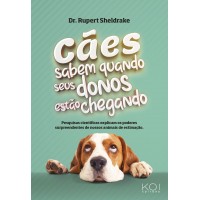 Cães sabem quando seus donos estão chegando: Pesquisas científicas explicam os poderes surpreendentes dos nossos animais de estimação Cães sabem quando seus donos estão chegando: Pesquisas científicas explicam os poderes surpreendentes dos nossos animais de estimação