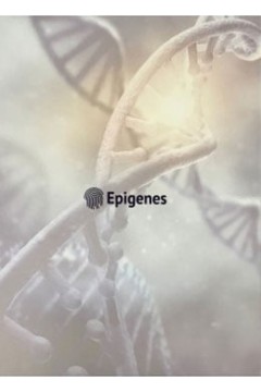 Fichário Epigenes