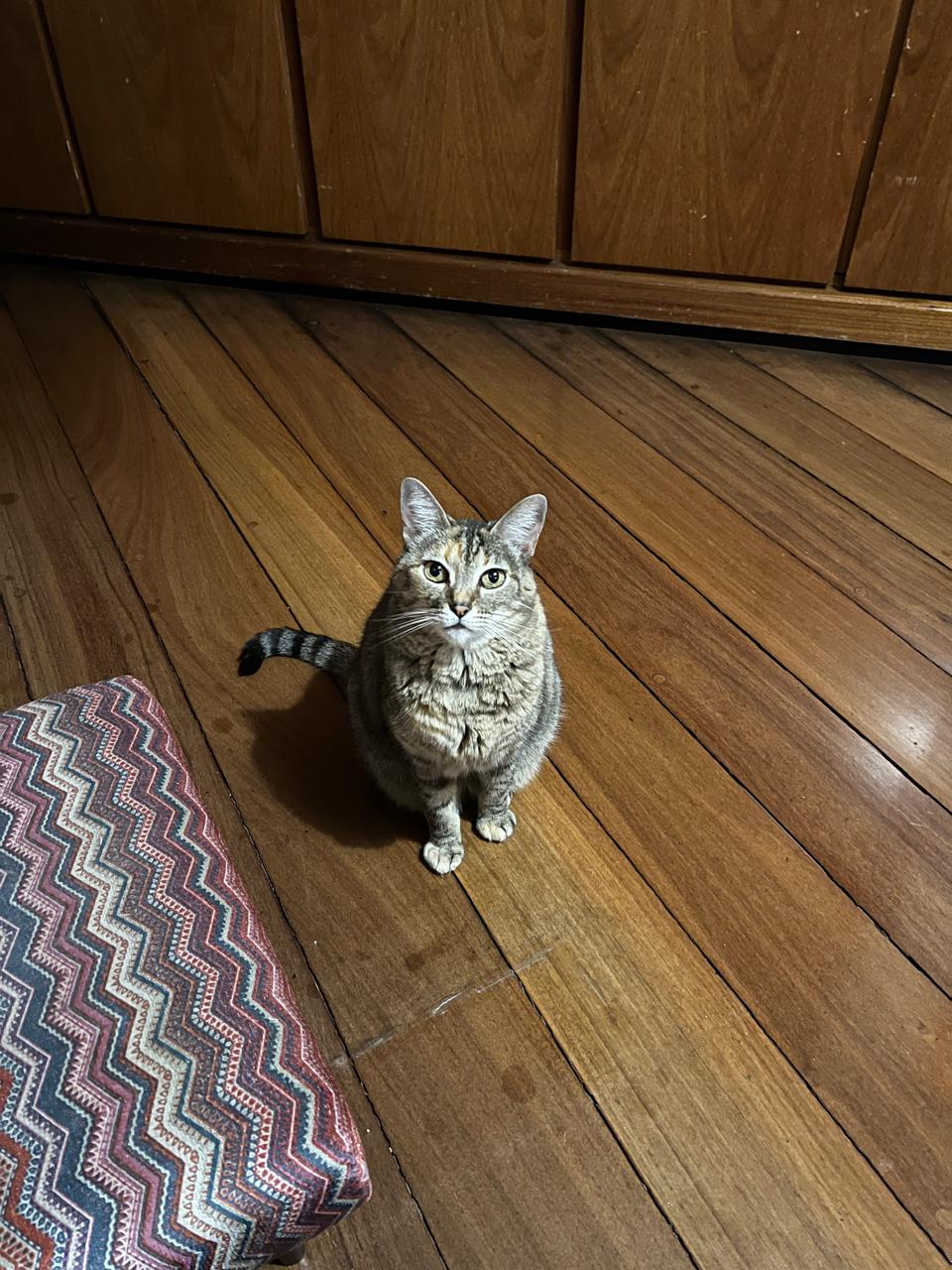 Nina no chão olhando