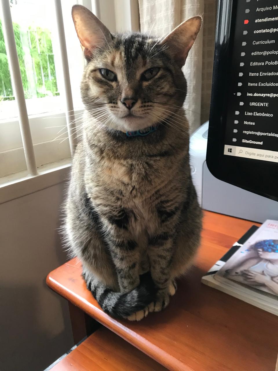 Nina ao lado do monitor